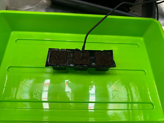 Growreport Bild 7
