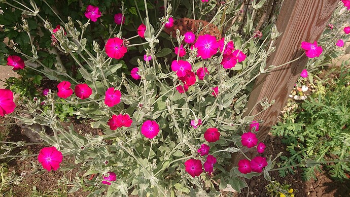 Growreport Bild 22