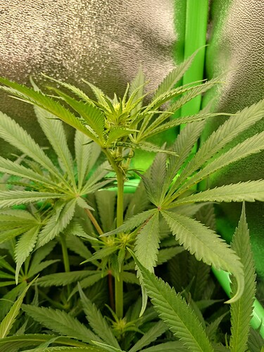 Growreport Bild 6