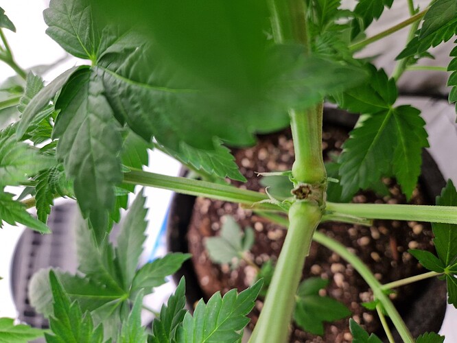 Growreport Bild 13