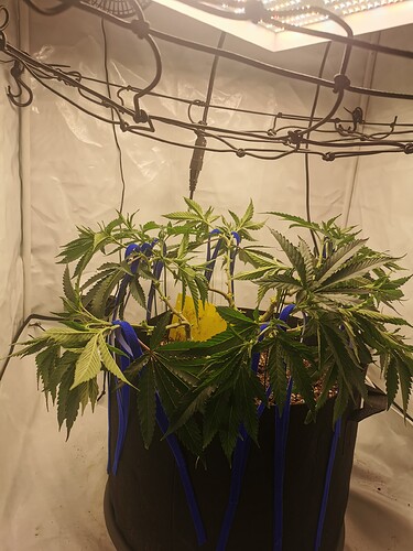 Growreport Bild 15