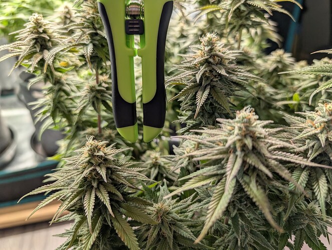 Growreport Bild 10