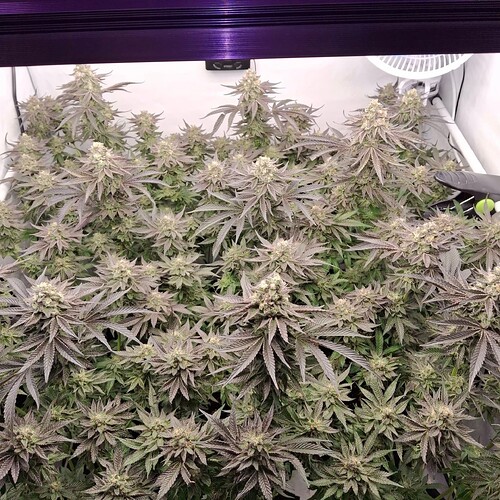 480575071_122169240104293599_6679829639590410776_n