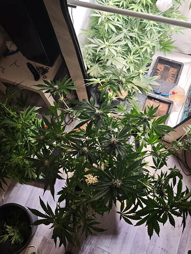 Growreport Bild 22