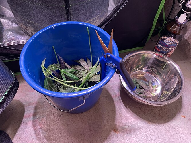Growreport Bild 1