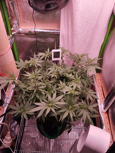 Growreport Bild 12