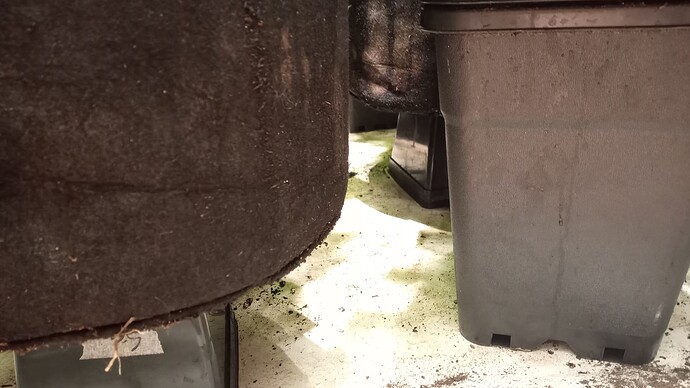 Growreport Bild 27