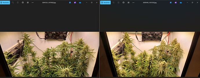 Growreport Bild 2