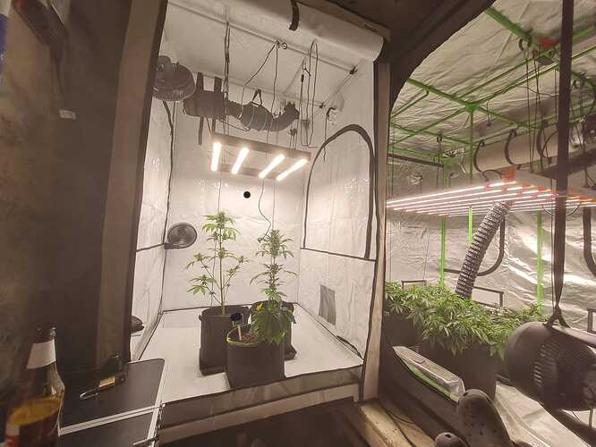 Growreport Bild 4