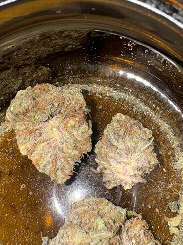 Growreport Bild 51