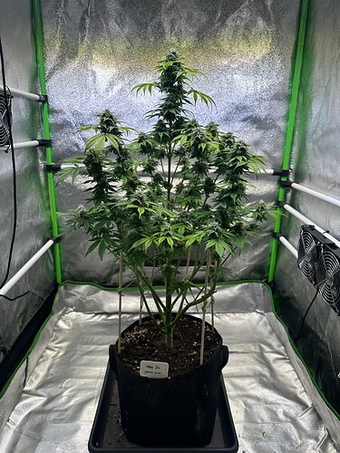 Growreport Bild 17