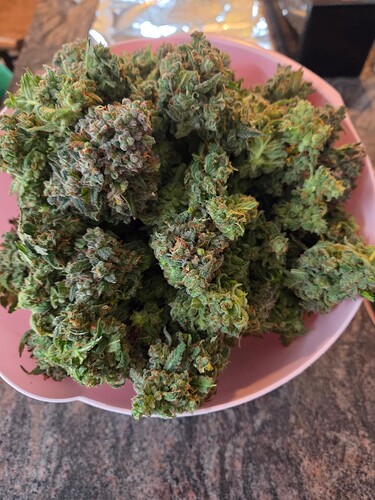 Growreport Bild 10
