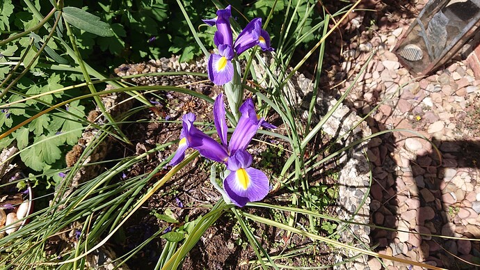 Growreport Bild 39