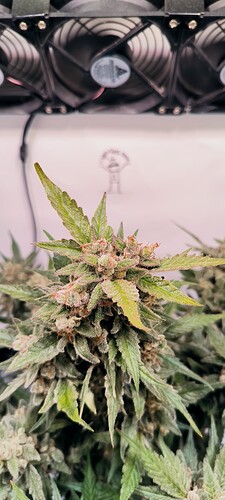 Growreport Bild 10
