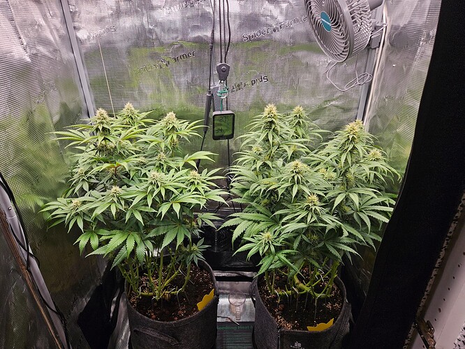 Growreport Bild 19