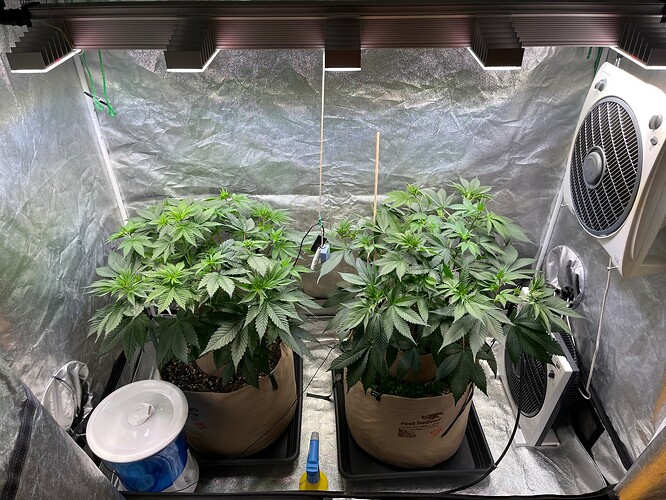 Growreport Bild 1