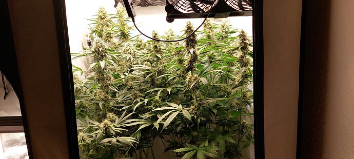Growreport Bild 7