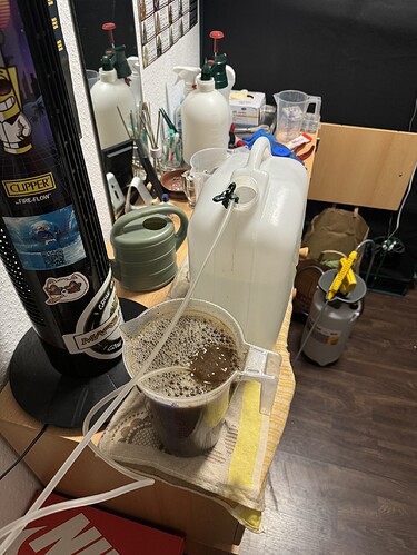 Growreport Bild 29