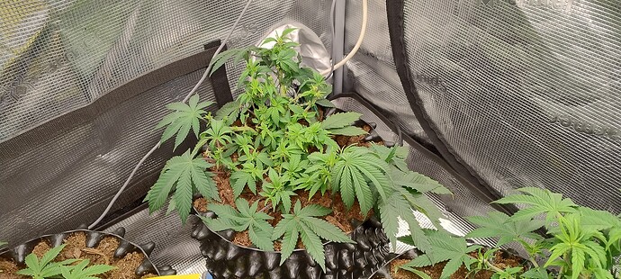 IMG_20251014_102159664_HDR