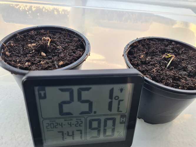 Growreport Bild 5