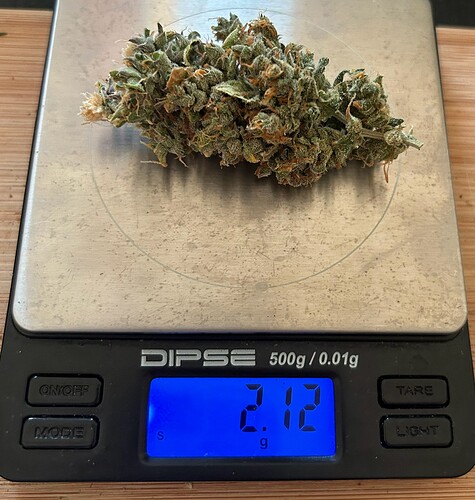 Growreport Bild 33