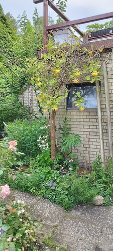 IMG_20240526_195544