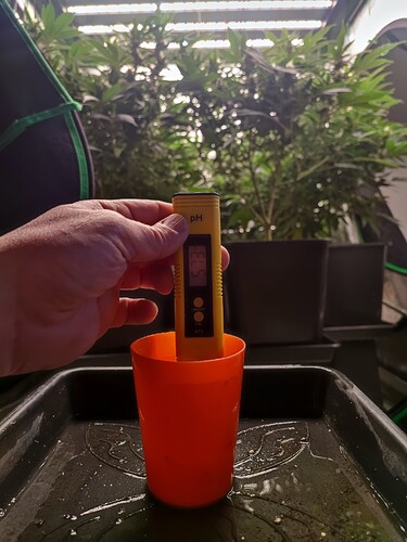 Growreport Bild 29