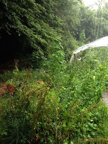 Growreport Bild 7