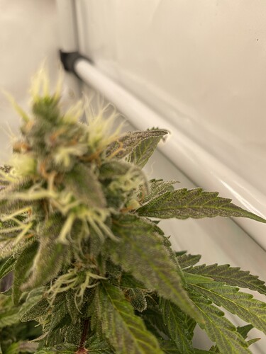 Growreport Bild 13