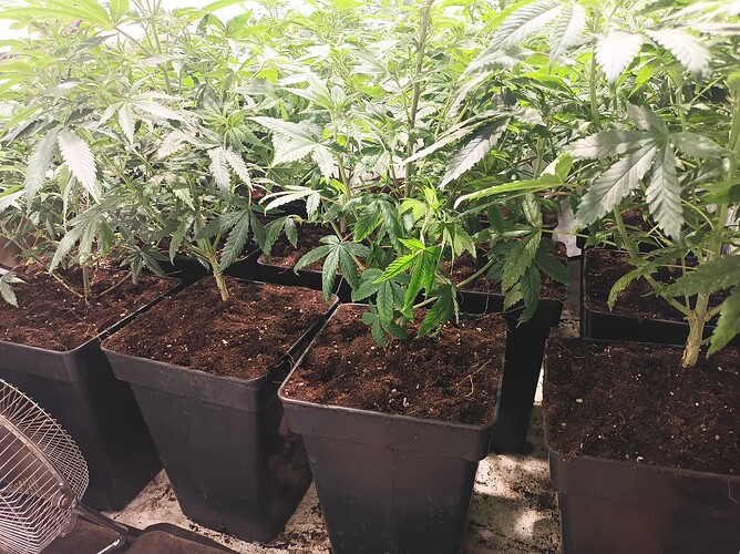 Growreport Bild 10
