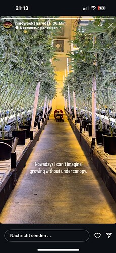 Growreport Bild 2