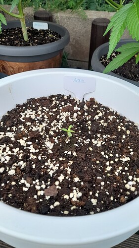 Growreport Bild 20