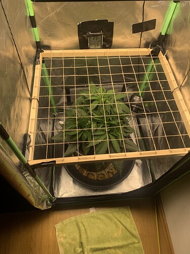Growreport Bild 16