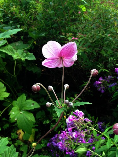 Growreport Bild 33