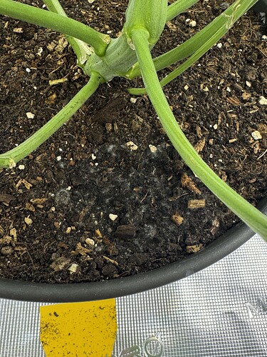 Growreport Bild 22