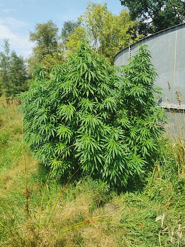 Growreport Bild 10