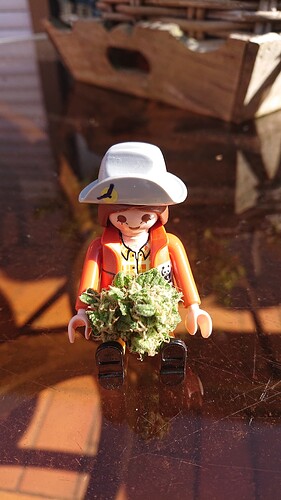 Growreport Bild 56
