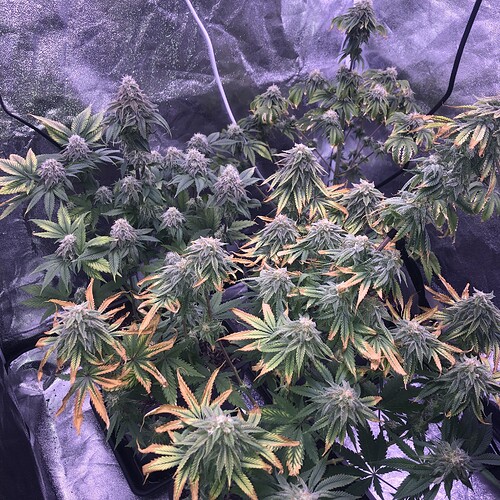 Growreport Bild 10