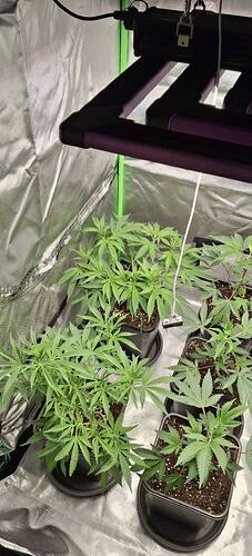 649171047_122227223516293599_2911464160098719106_n