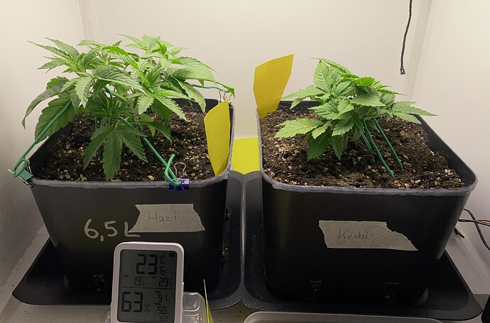 Growreport Bild 17