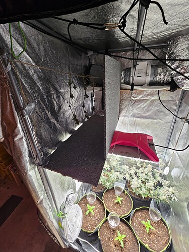 Growreport Bild 4