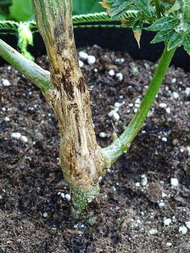 Growreport Bild 14