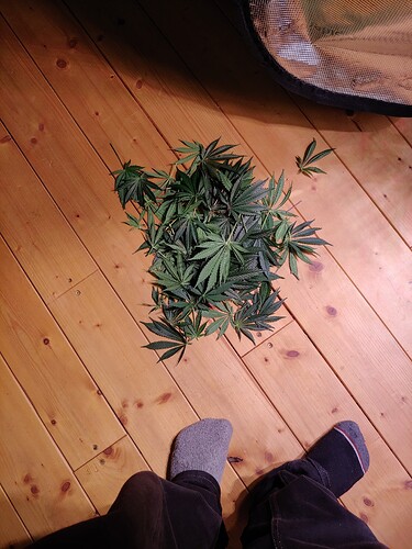 Growreport Bild 15