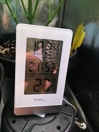 Growreport Bild 1