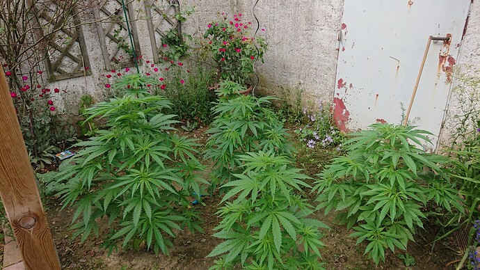 Growreport Bild 8