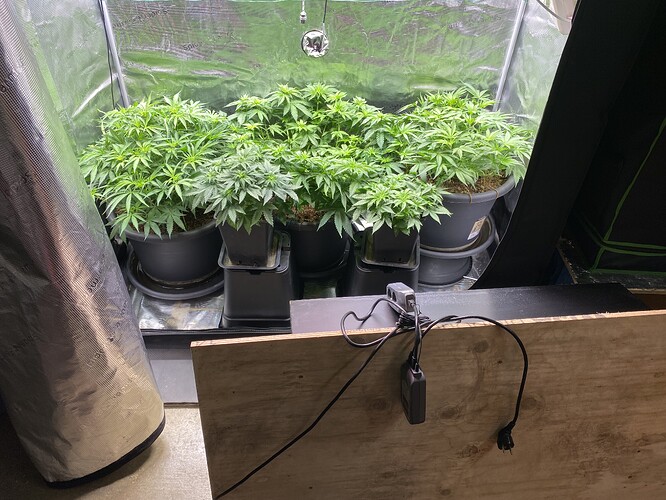 Growreport Bild 89