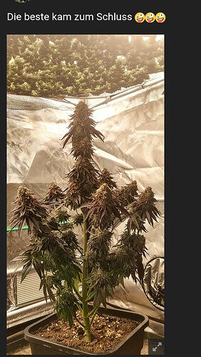 Screenshot_20260211-223728_(1)