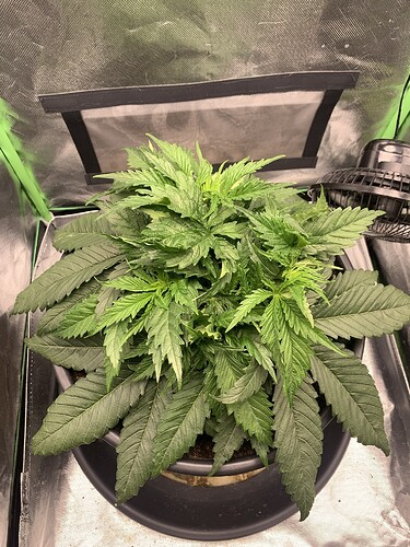 Growreport Bild 6