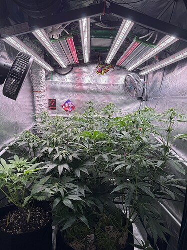 Growreport Bild 24
