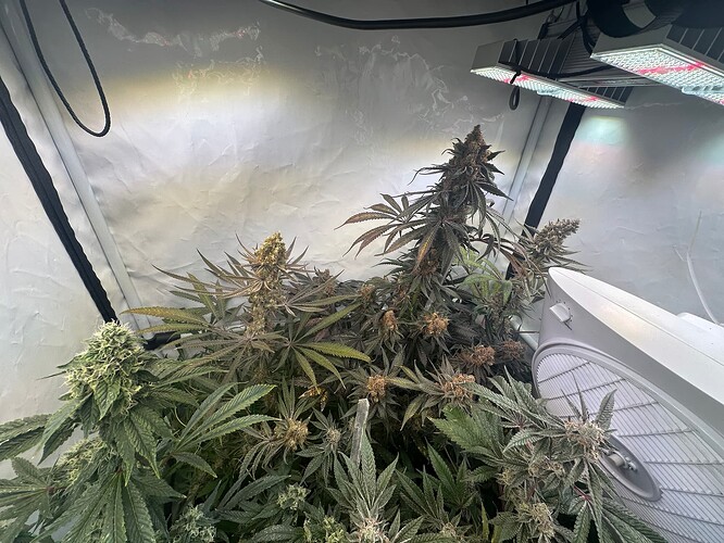 Growreport Bild 1